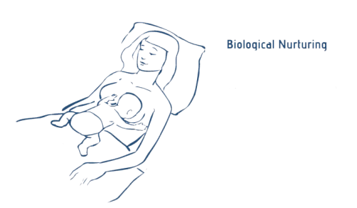 Biological-Nurturing1