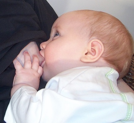 Odorat Sensible Allaitez Longtemps Odorat Sensible Allaitez Longtemps